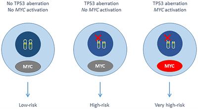 “Double-Hit” Chronic Lymphocytic Leukemia, Involving the TP53 and MYC Genes